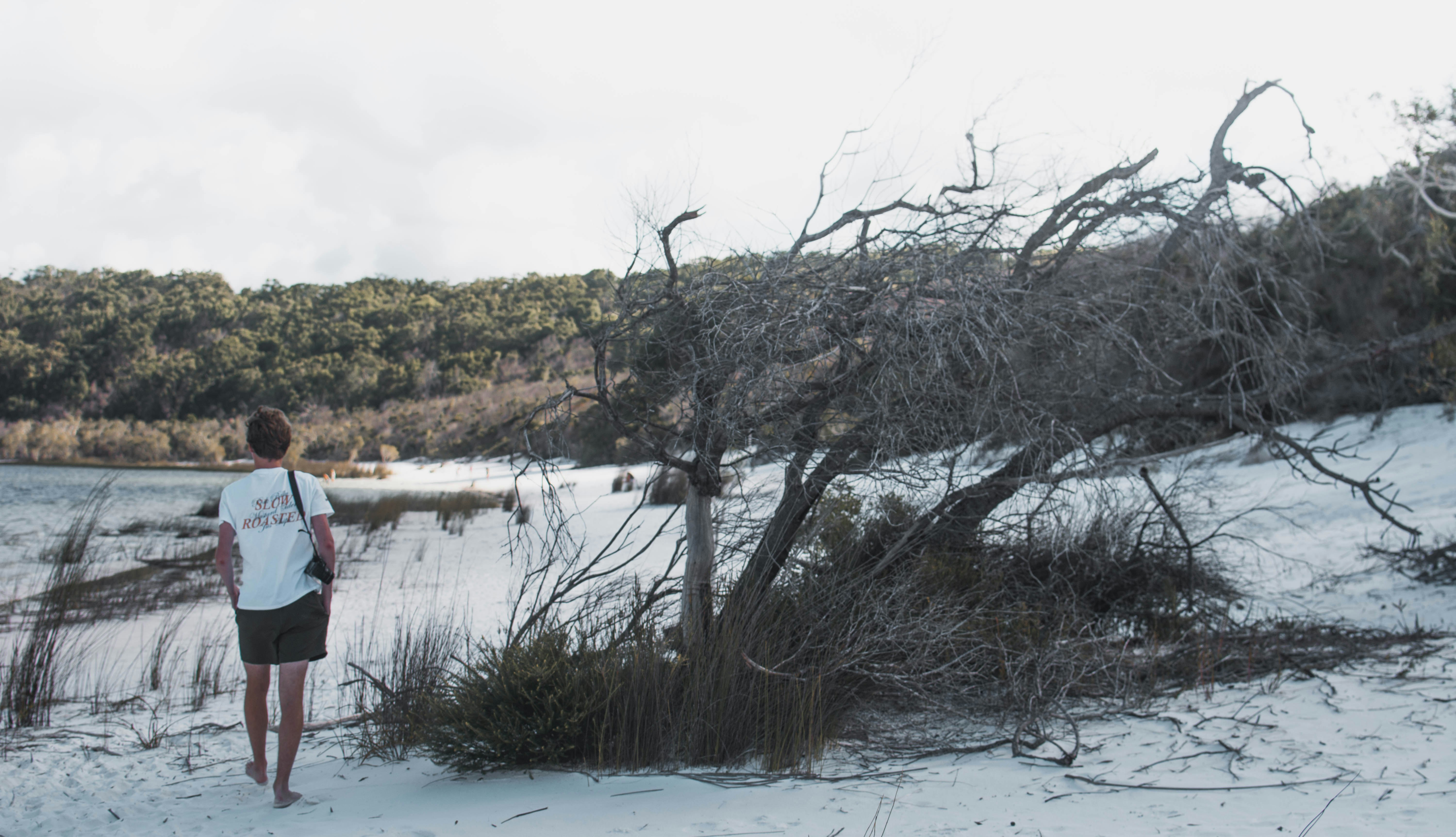 man walking on shore near driftwood